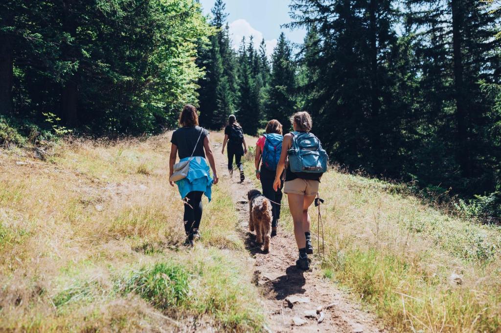 Apartmajsko naselje Ribniško Pohorje photo 1