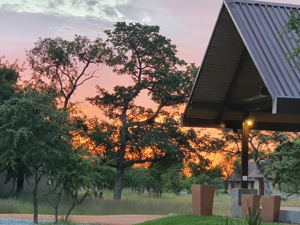Callies Game Lodge Safaris photo 3