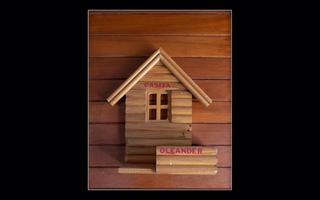 Fuego Mio Bed & Breakfast photo 3