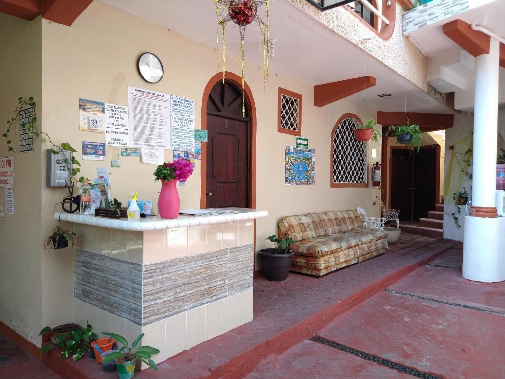 Hotel y Bungalows Olivares photo 4