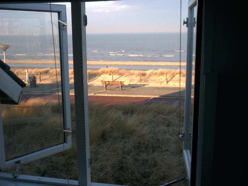 Zeeduin - fantastisch uitzicht op zee photo 1