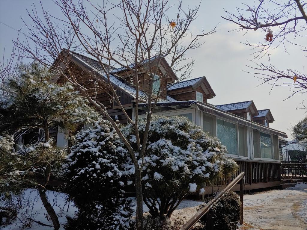 Paju Gamaksan Pension photo 1
