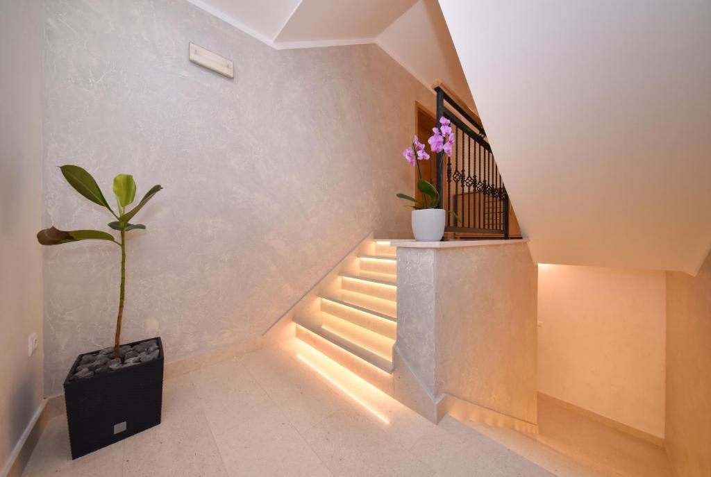 APARTMANI PETRA photo 1