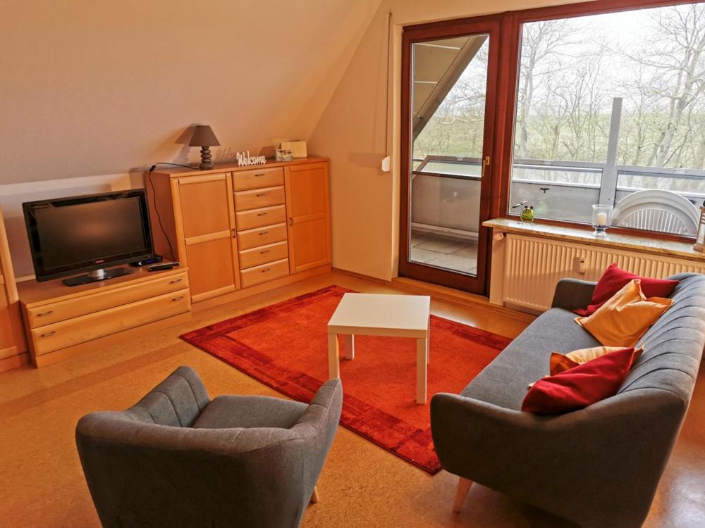 Haus-Deichläufer photo 2