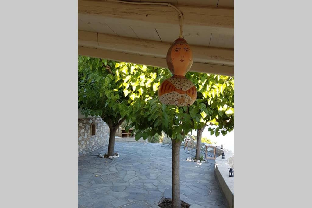 Agios Petros By the Sea photo 3