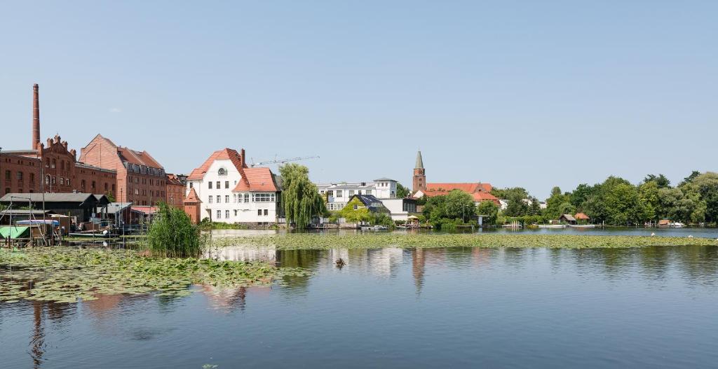 Fewo auf der Dominsel - SEEROSE photo 4