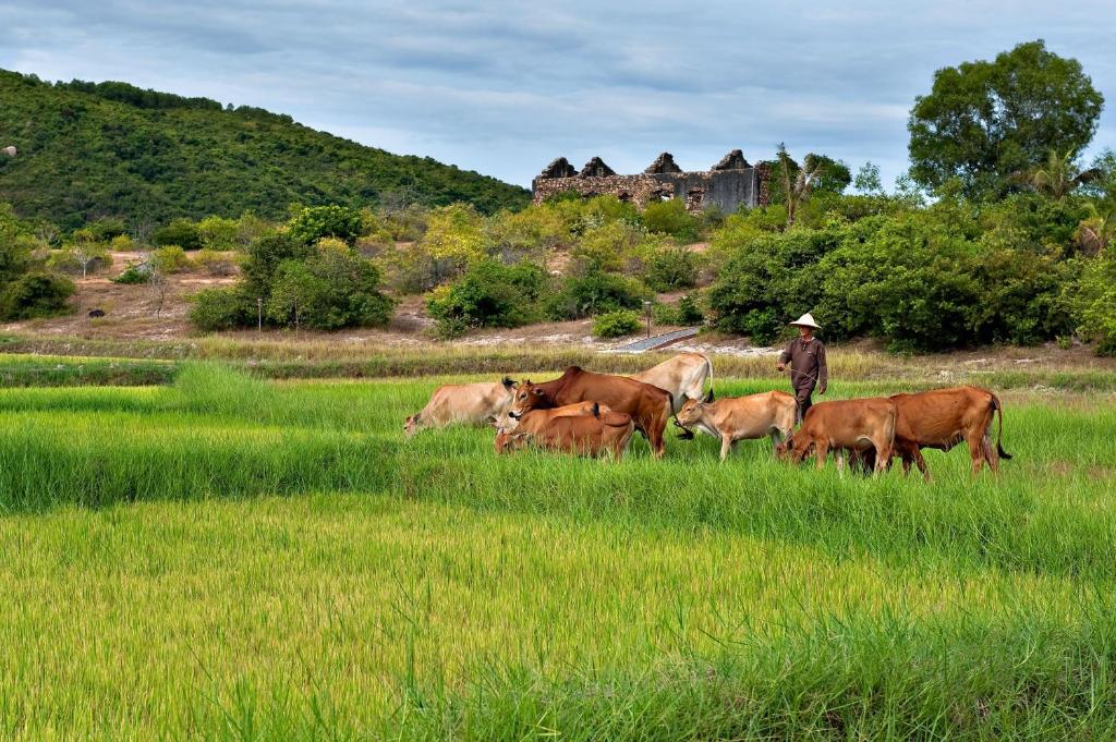 Zannier Hotels Bai San Hô