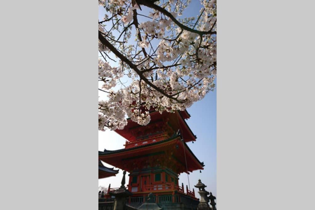 東山清水 友庵 - Tap to explore photos