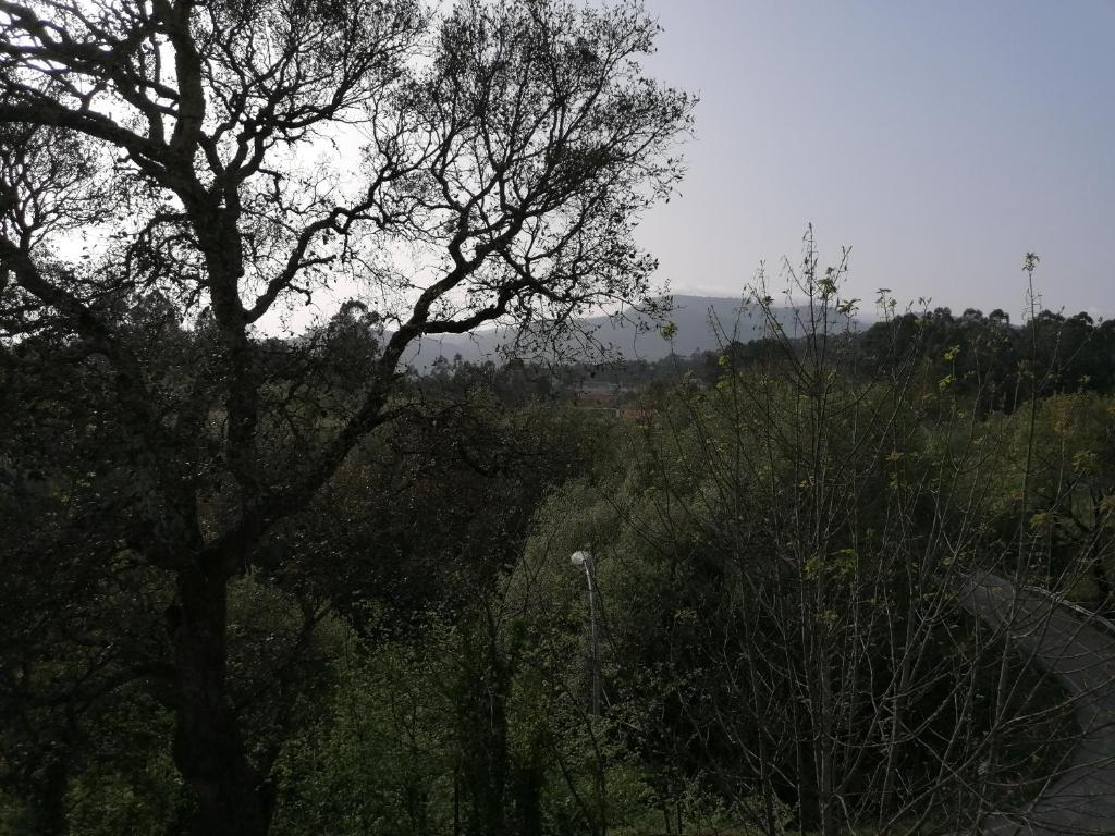 Casa Ribe photo 1