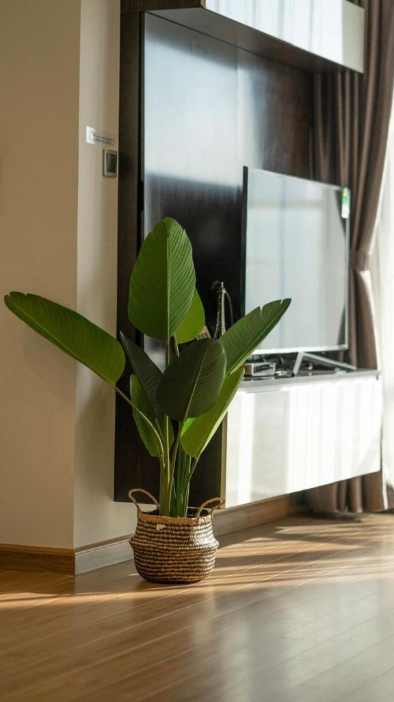 BOM HOMESTAY- VINHOMES METROPOLIS-Service Apartment