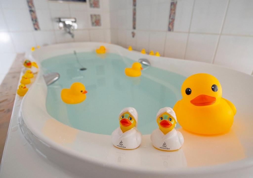 HOTEL&SPA SIESTA ( Adult Only) photo 4