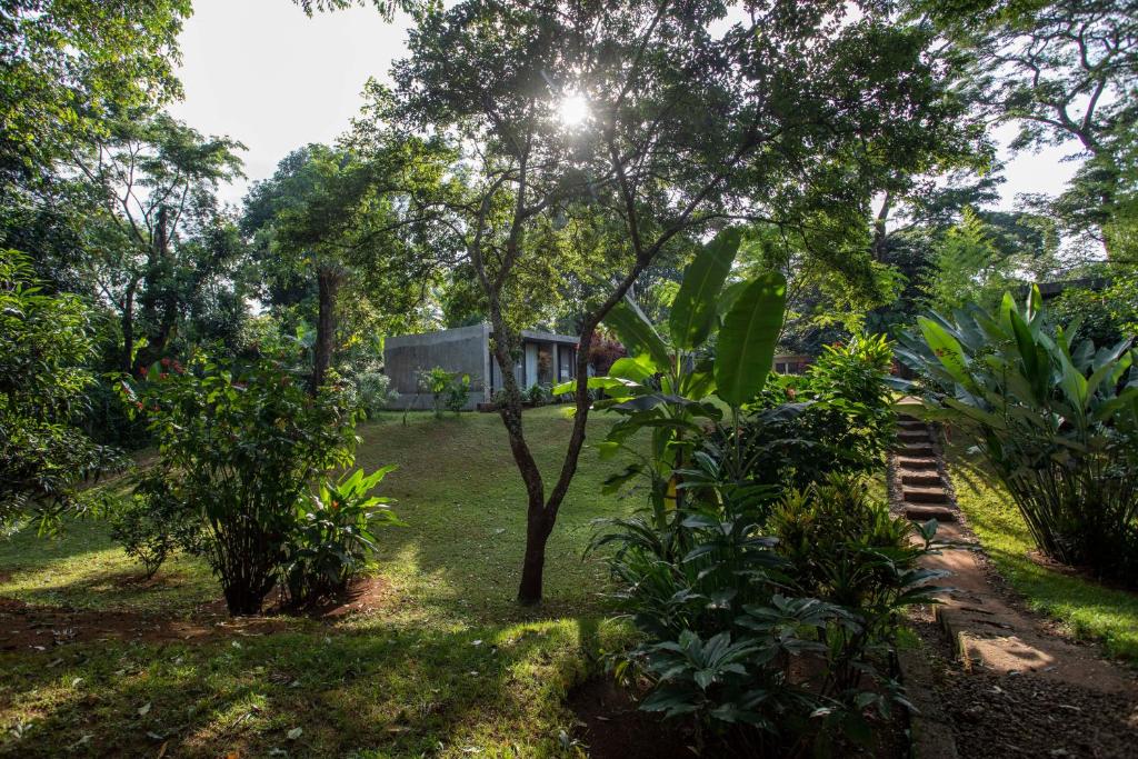 Kaliwa Lodge photo 3