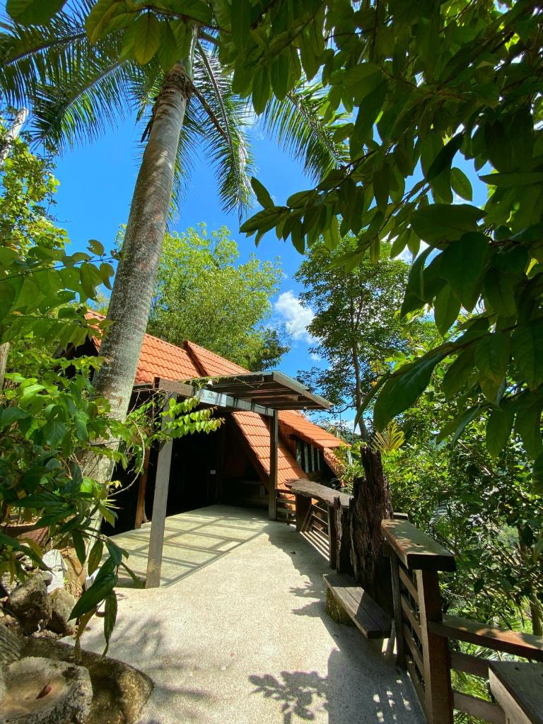 Langit Rimba Resort photo 4