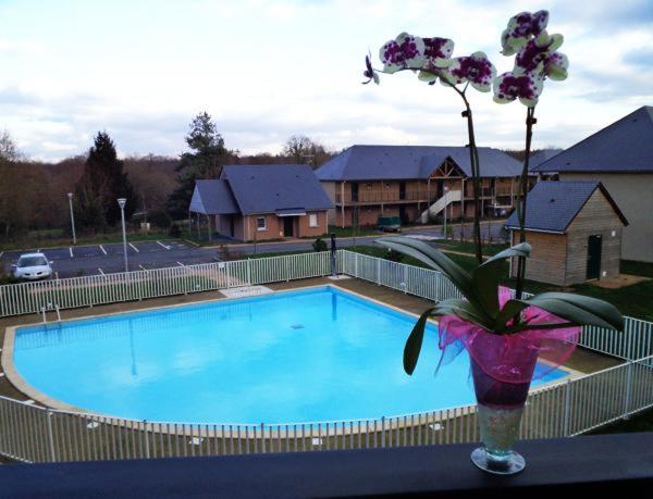 Le Fleur"H"on 11 d'Honfleur, T2 en Résidence avec Piscine, WIFI et Parking gratuits photo 1