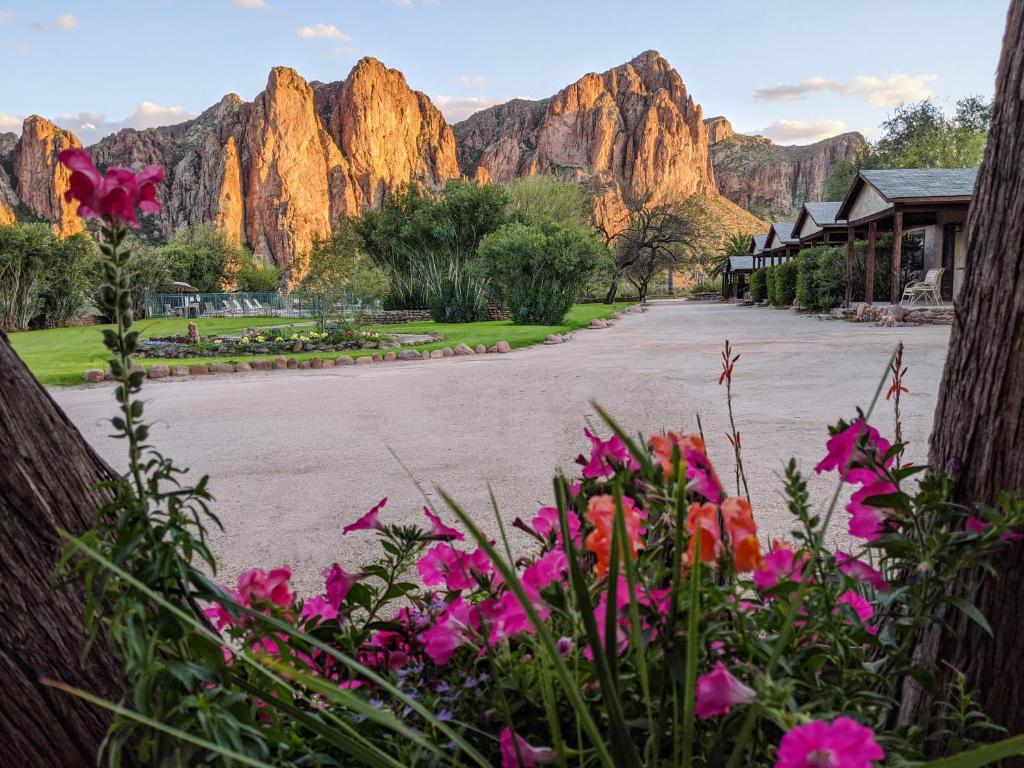 Saguaro Lake Guest Ranch image