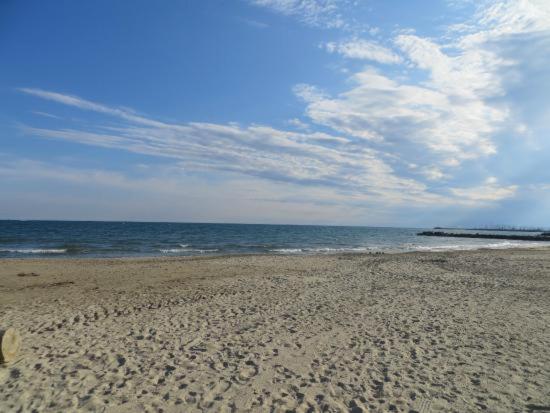 Les Terrasses Du Grand Large Bord de Mer photo 3