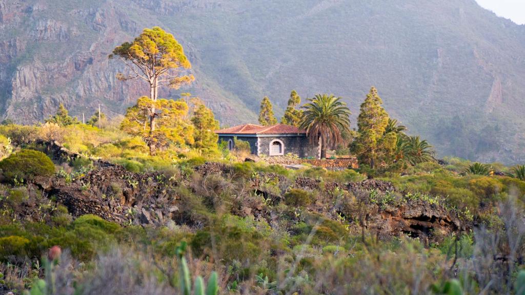 Luxury villa in Nature with Swimming pool Luxus-Finca in der Natur mit pool, Finca de lujo en la naturaleza con piscina