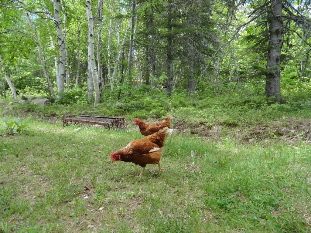 Auberge Carpe Diem photo 2