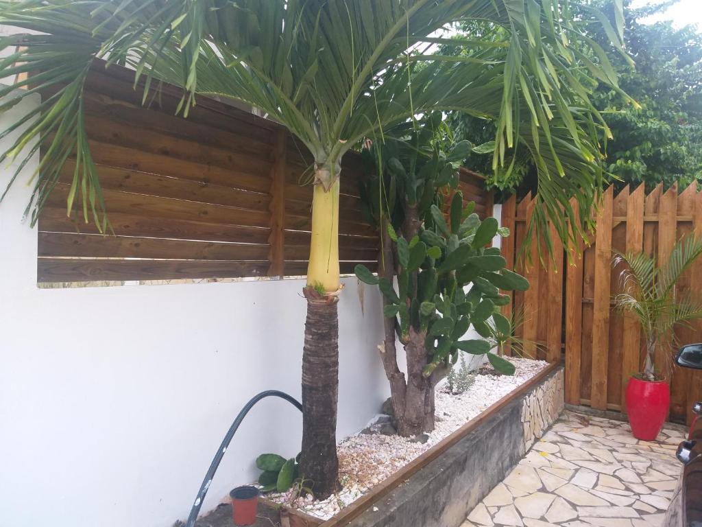 Villa k'nel photo 1