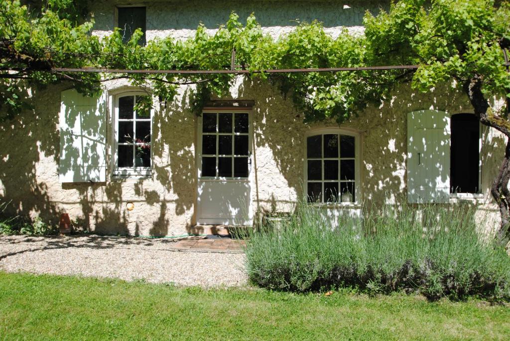 Maison des Vignes photo 4