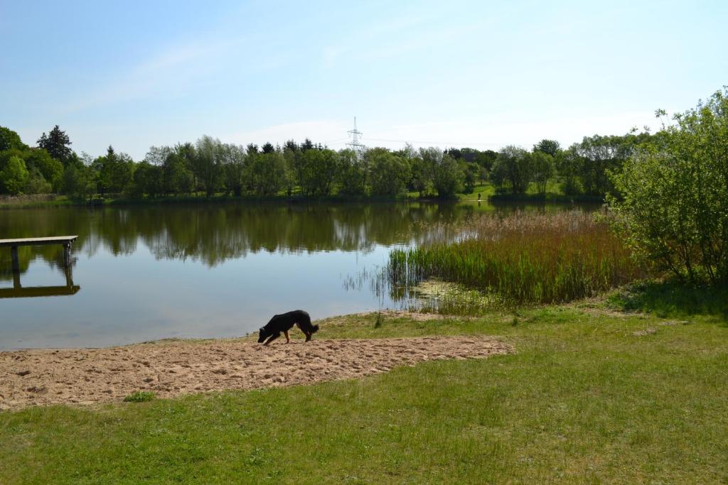 Rosenhaus der Wasserburg photo 1