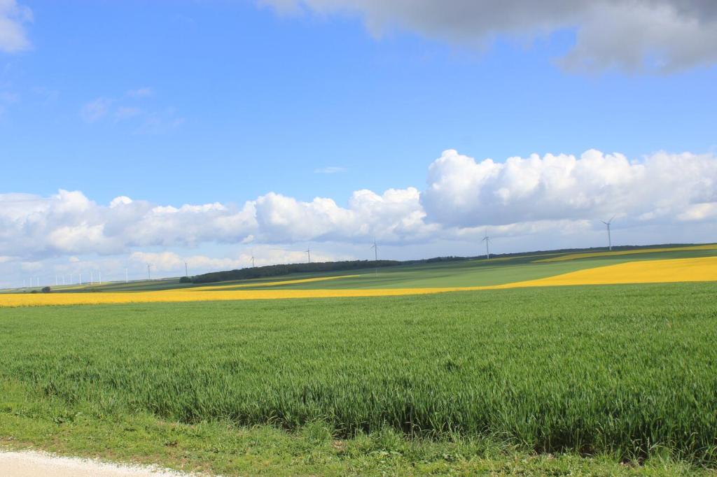 LES BOIS DE CHAMPAGNE NORDIQUE photo 2