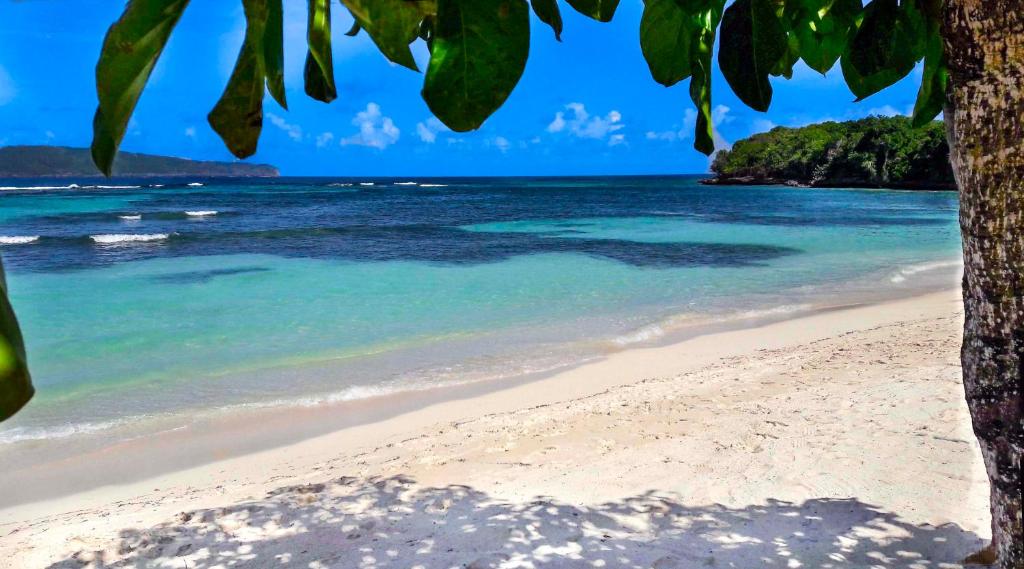 Villa Flamboyan photo 1