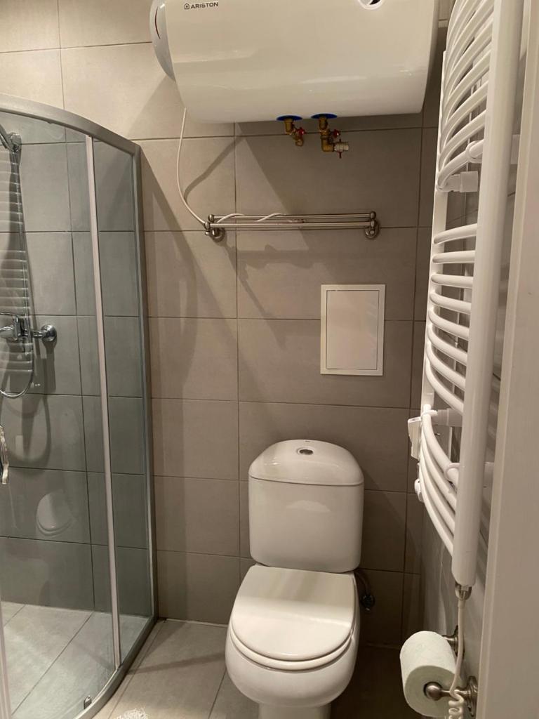 Studio flat in Kedainiai photo 3