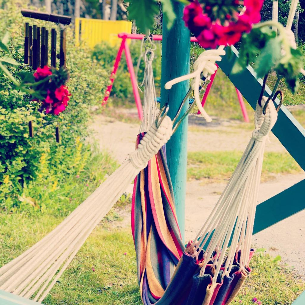 Eco Camp Norway photo 3