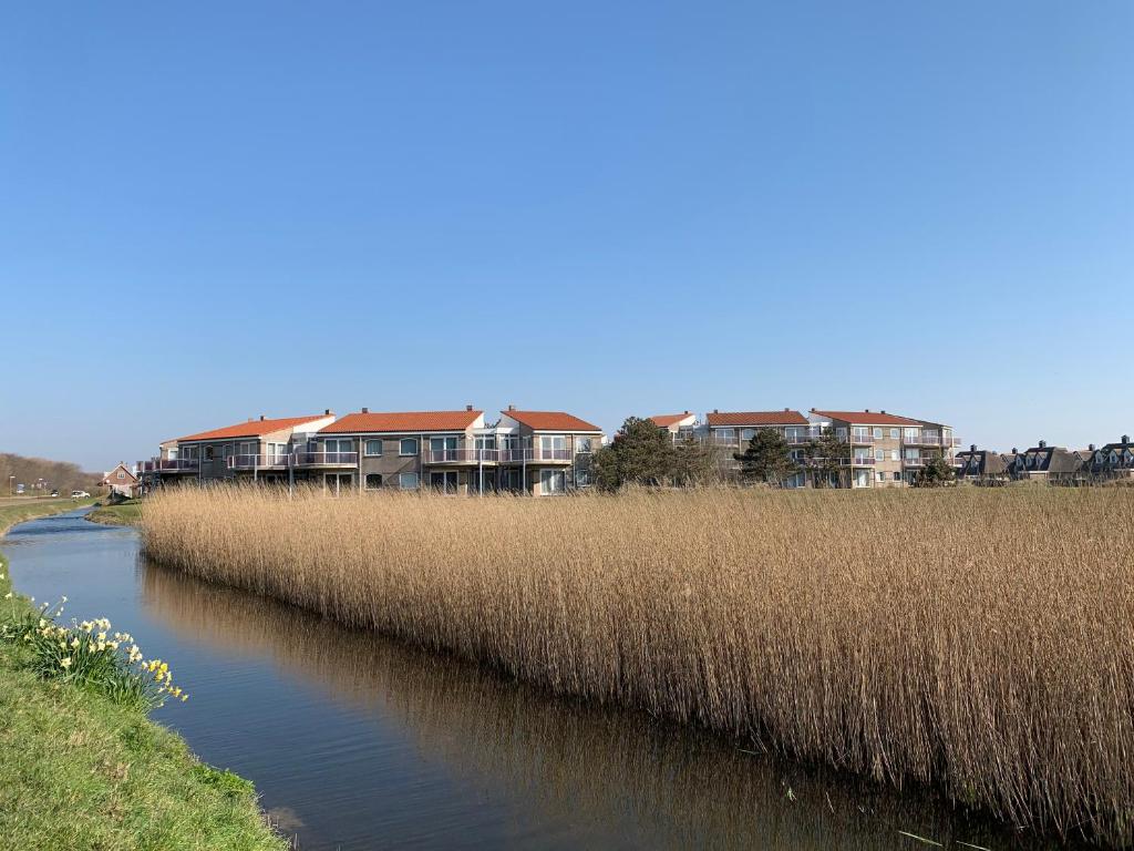 Strandappartement Duynblick photo 3