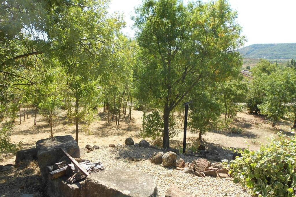 La Bergerie, with private pool and garden photo 4