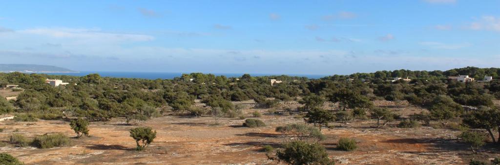 Casa Santolina photo 3