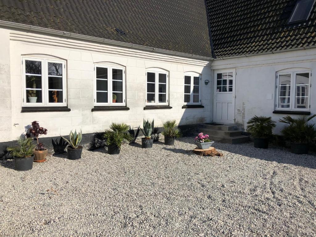Holmegaarden B & B-K photo 1