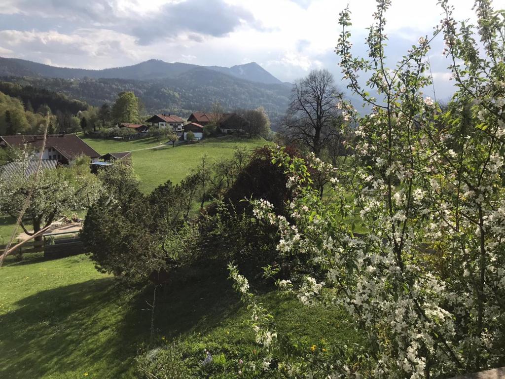 Entspannen mit Bergpanorama photo 2