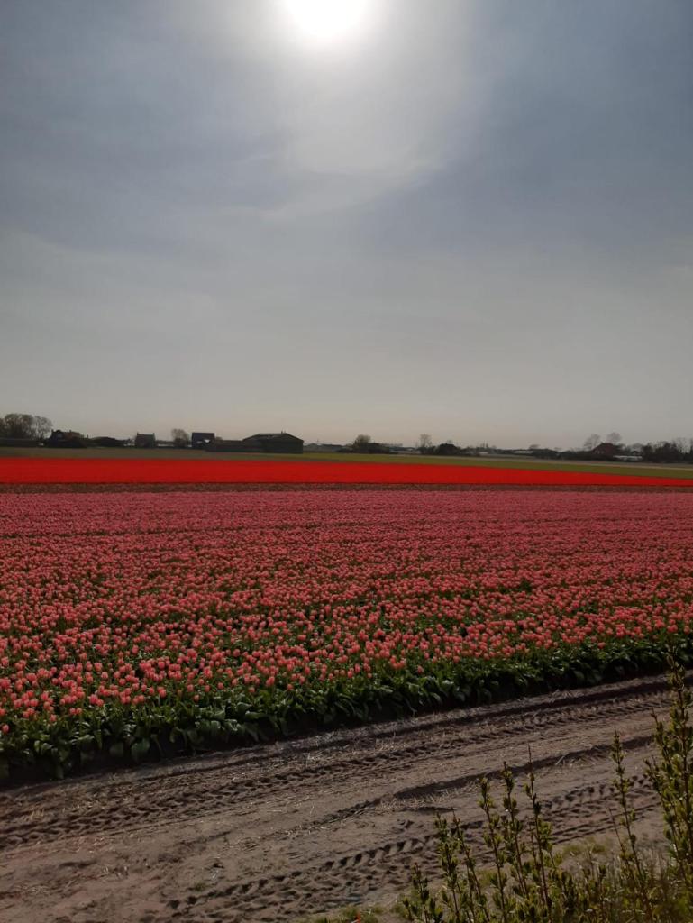 Groot familiehuis voor 6 personen in landelijke, rustige omgeving photo 3