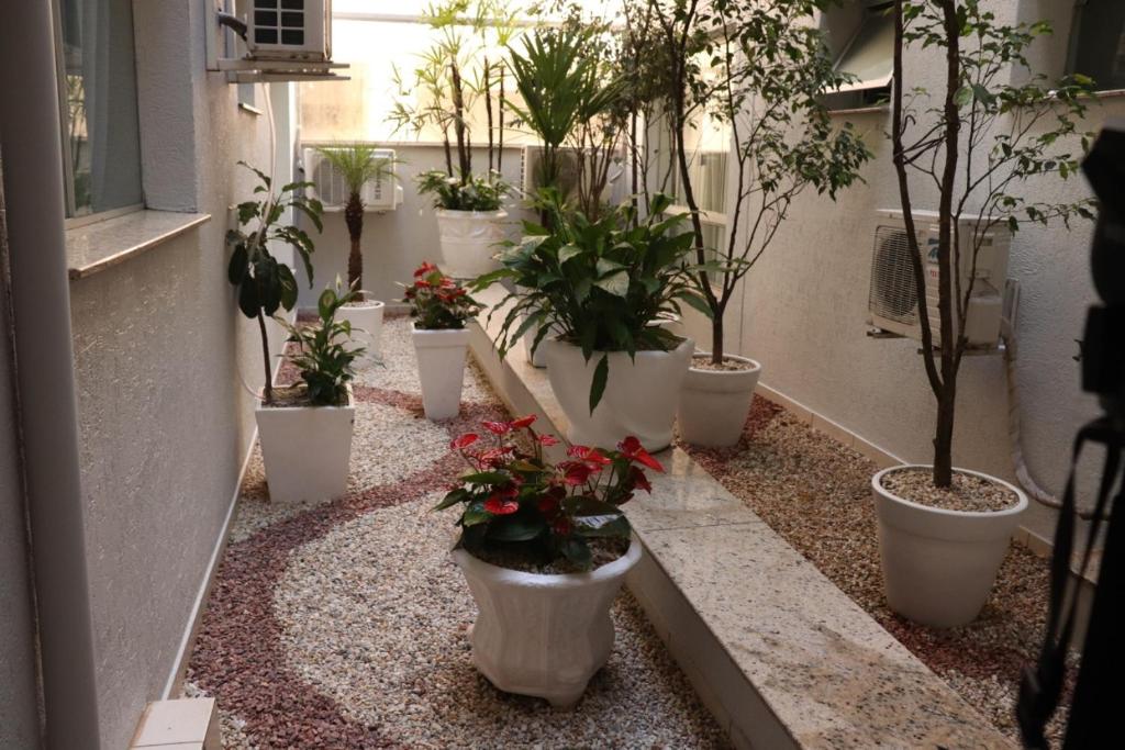 Hotel São Vicente photo 3