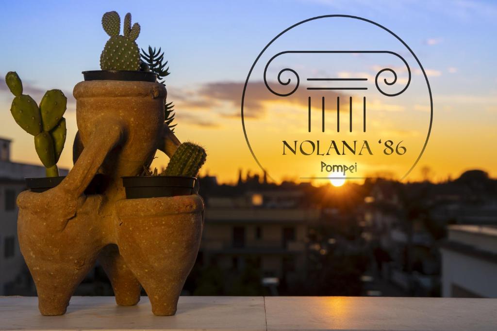 Nolana '86 photo 3