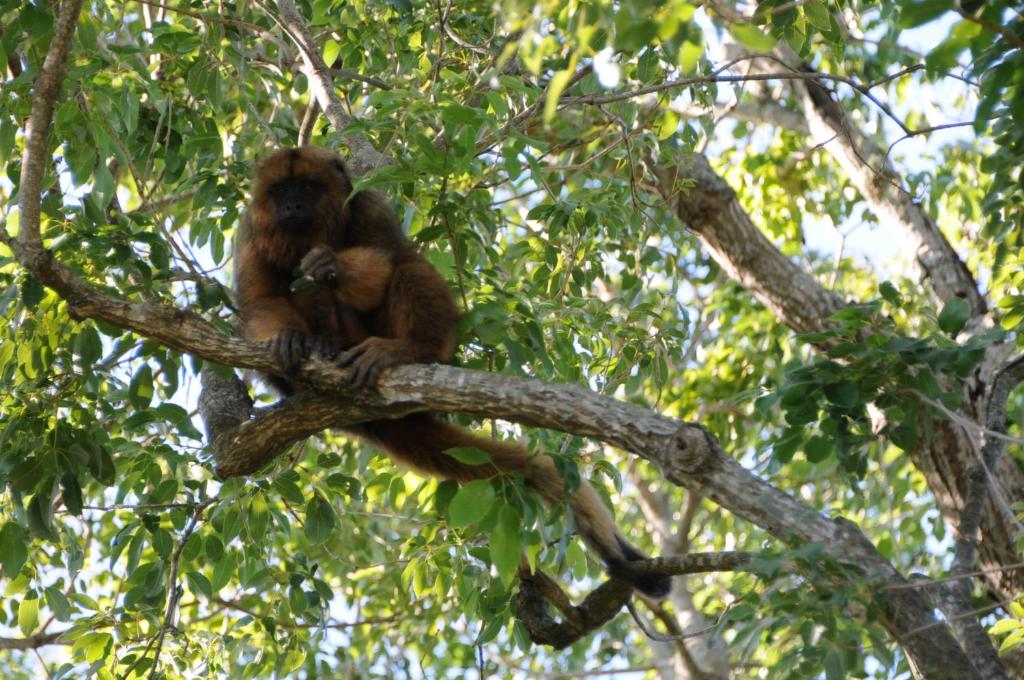 Golden Lodge photo 3