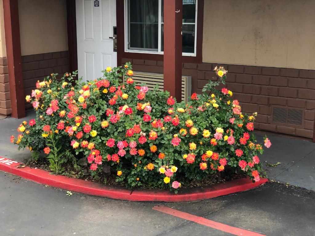 Haven Inn of Chico photo 4