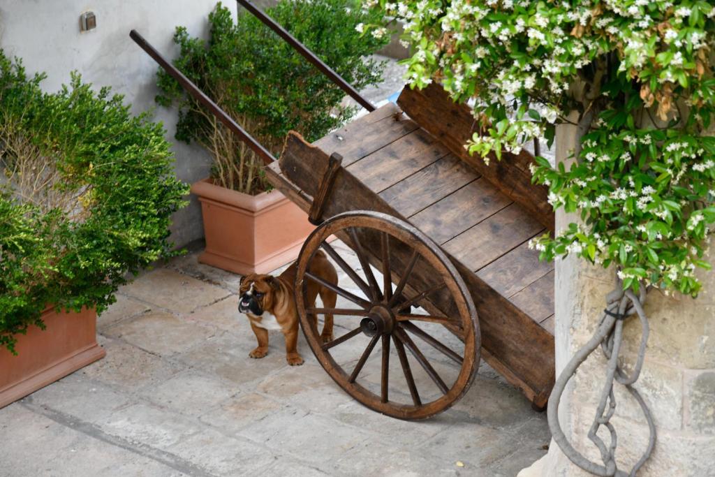 Dimora Duchessina Suites de Charme photo 3