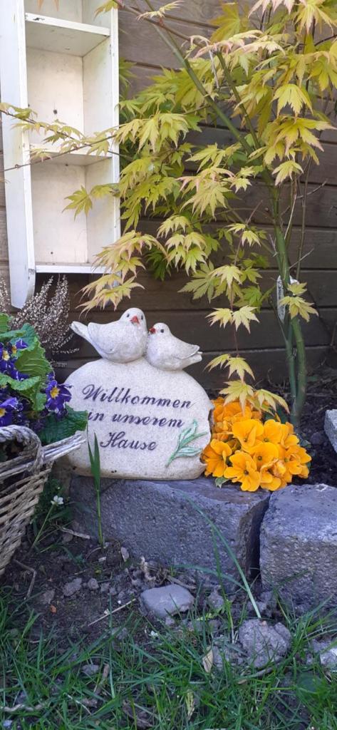 Familie Postma B&B Anjum photo 1