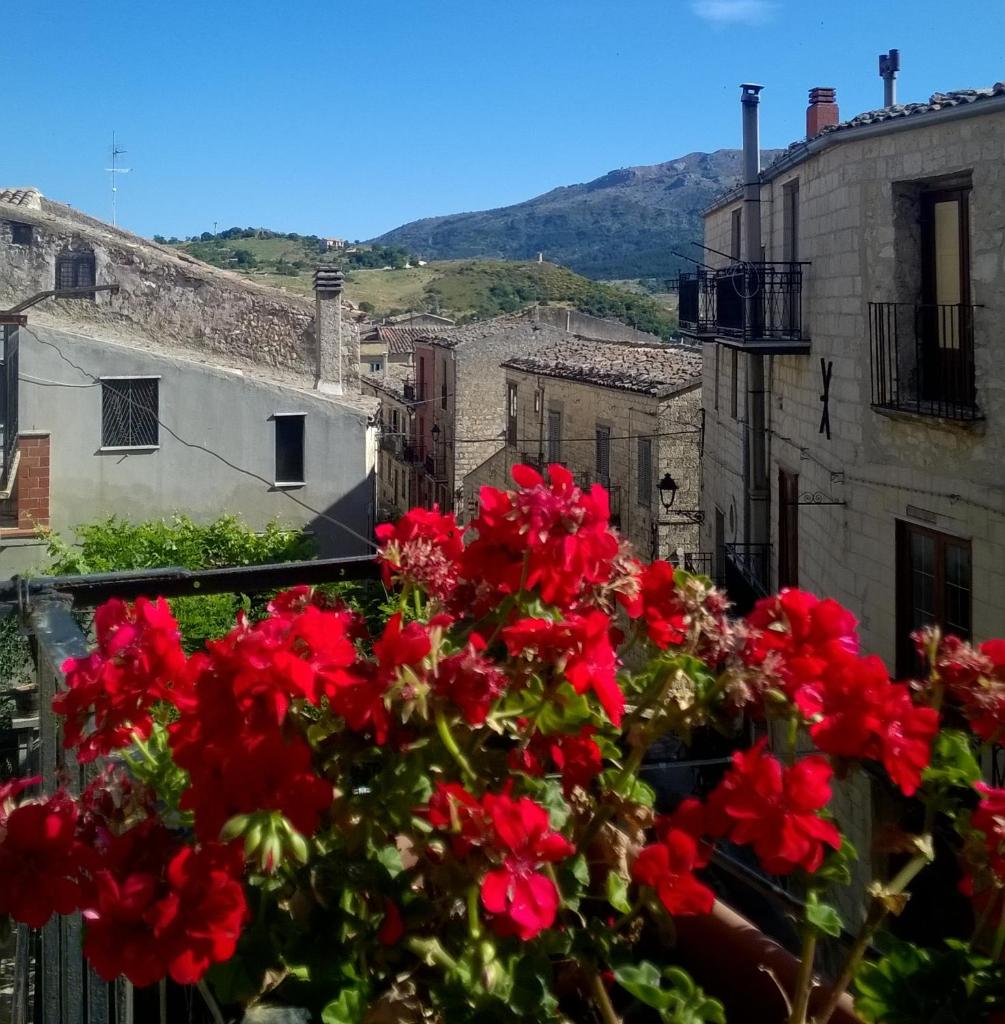 Cas'Antica Soprana photo 1