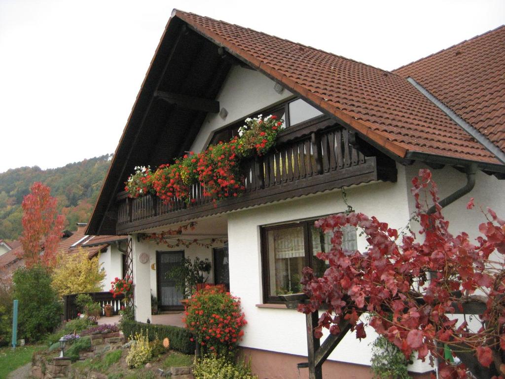 Ferienwohnungen Haus Albert photo 1