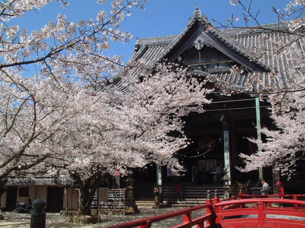 Hotel Avalorm Kinokuni photo 3
