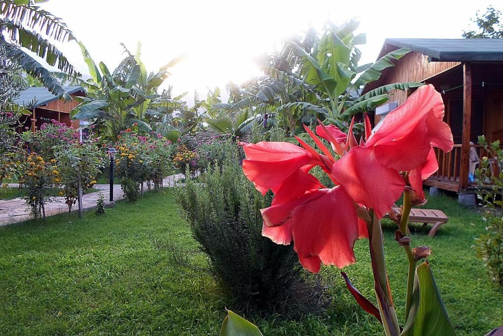 Estelar Bungalow photo 3