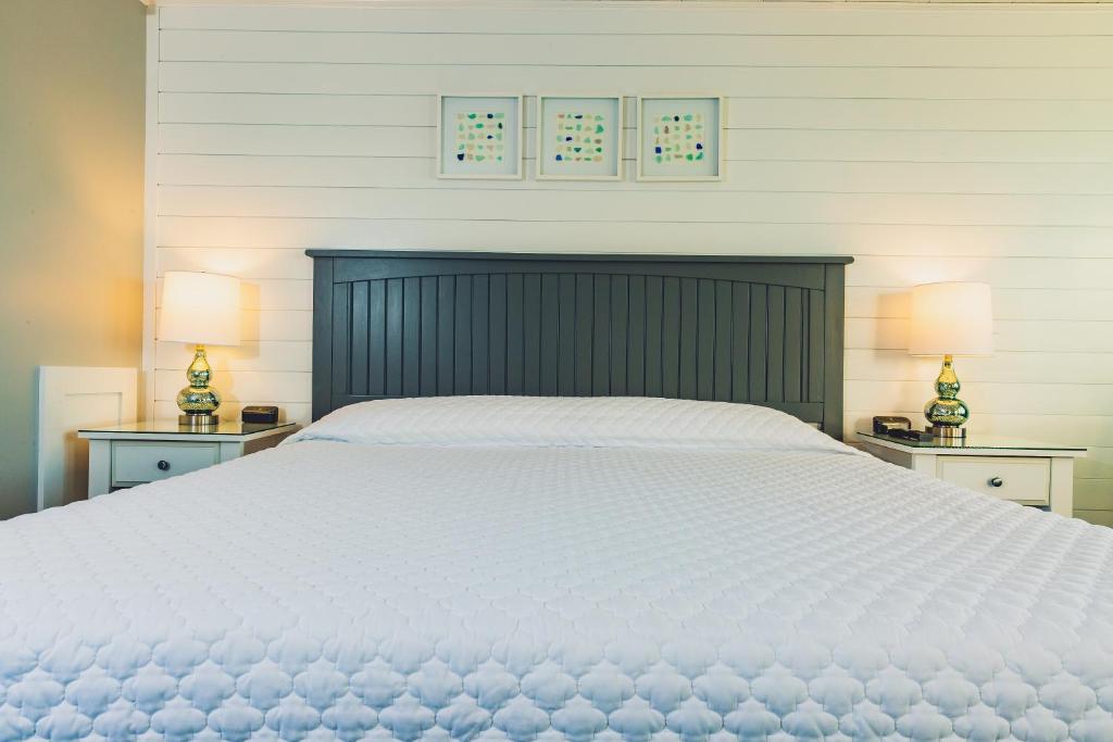 Bearskin Neck Motor Lodge photo 3