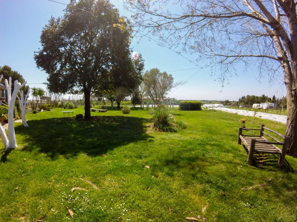 Villa Enli photo 4