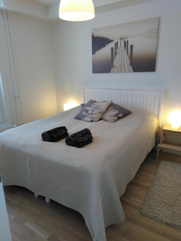 Lutakko Apartment with free car parking photo 4