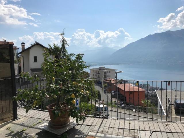 Casa Franceschini photo 1