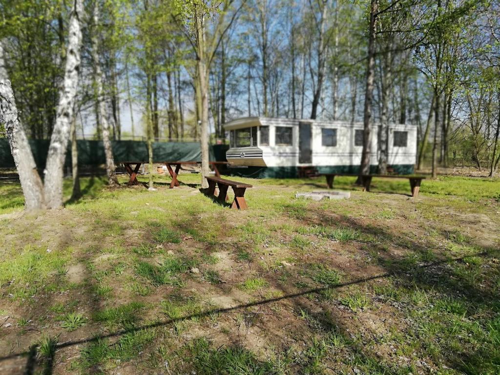Domki nad Jeziorem Tarnobrzeskim photo 4